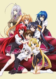 Poster High School DxD BorN