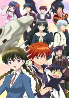 Poster Rin-ne 2
