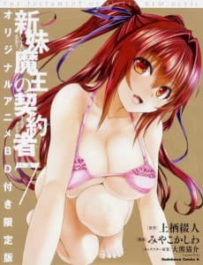 Poster The Testament of Sister New Devil BURST: Tojo Basara’s Perfectly Peaceful Daily Life