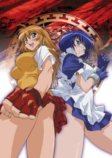 Poster Battle Vixens: Ikki Tousen