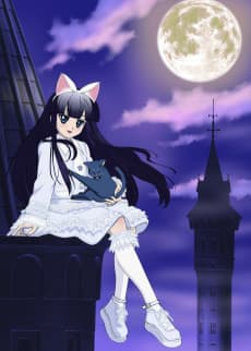 Poster MoonPhase