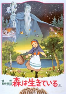 Poster Twelve Months