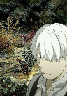 Poster MUSHI-SHI