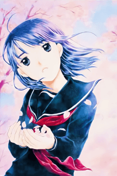Poster Koi Kaze