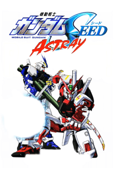 Poster Mobile Suit Gundam Seed MSV Astray