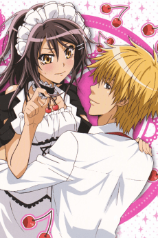 Poster Maid-Sama! It's an extra!