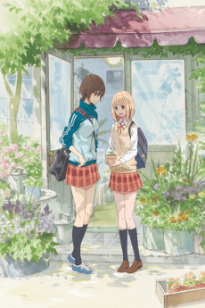 Poster Kase-san and Morning Glories