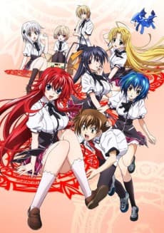 Poster High School DxD NEW