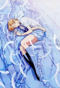 Poster Escaflowne: A Girl in Gaea