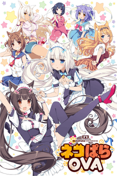 Poster Nekopara OVA