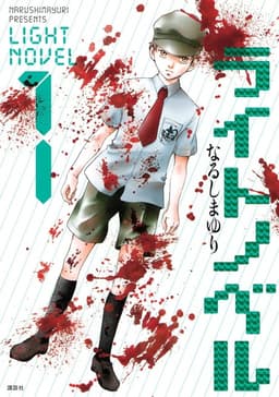 Poster Light Novel