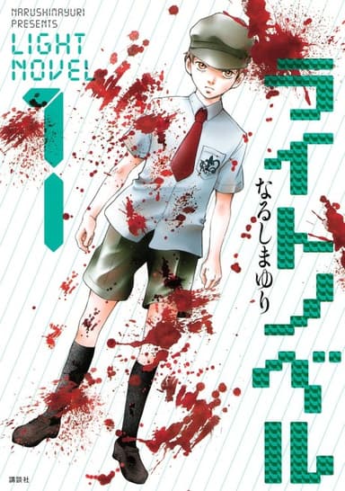 Poster Light Novel