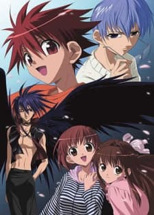 Poster D.N.Angel