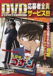 Poster Case Closed: The Stranger in 10 Years...