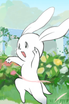 Poster Prima Rabbit