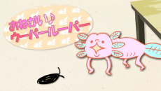 Poster Oh! Wooper Looper