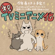 Poster Shikaruneko