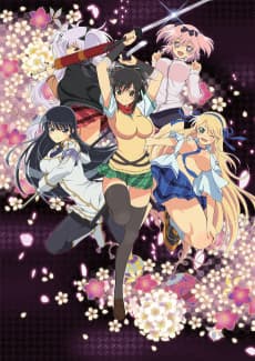 Poster Senran Kagura: Ninja Flash!