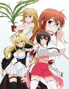Poster Sekirei