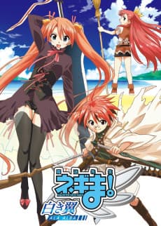 Poster Mahou Sensei Negima! Shiroki Tsubasa ALA ALBA