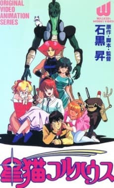 Poster Star Cat Fullhouse