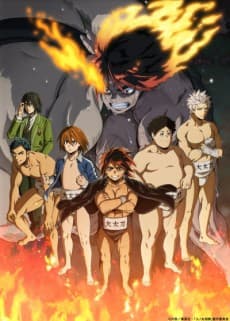 Poster Hinomaru Sumo