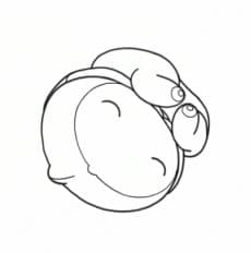 Poster The Embryo Develops into a Fetus