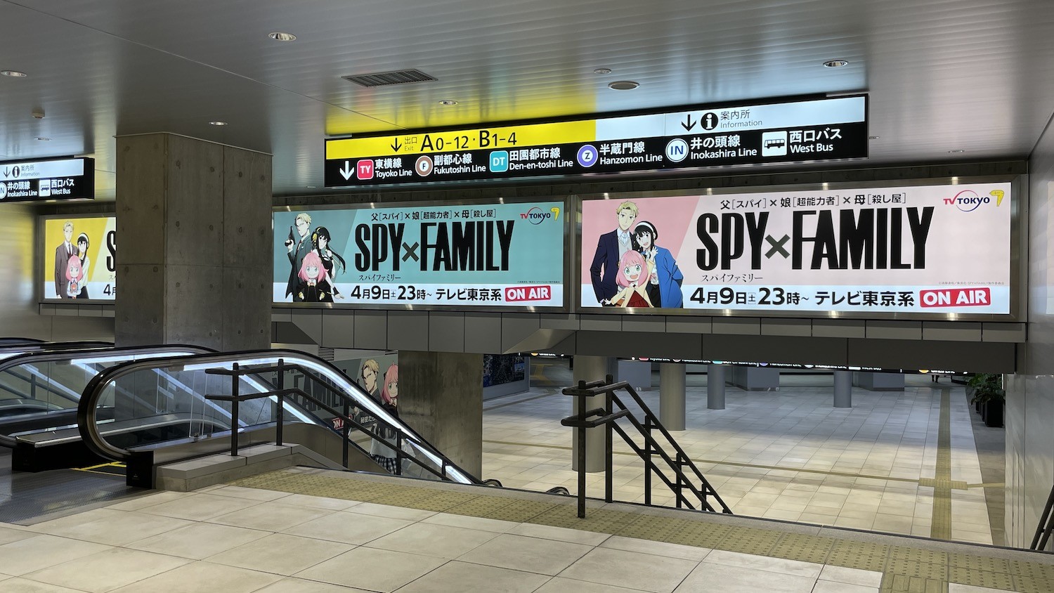 Rating Anime SPY x FAMILY Tertinggi Dalam Sejarah TV TOKYO